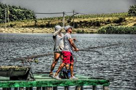 Cupa Verii MV2-RB Baits (2) - 2013